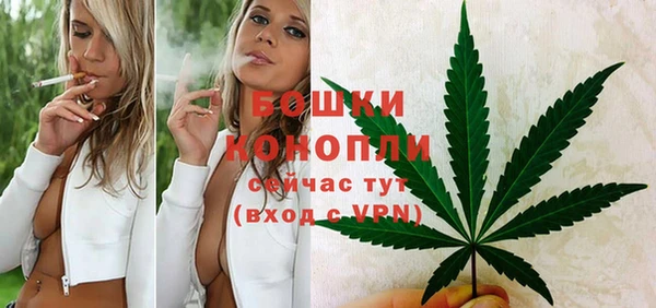 трава Горнозаводск